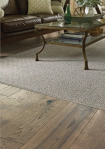 Area Rug for living room | Ronnie's Carpets & Flooring