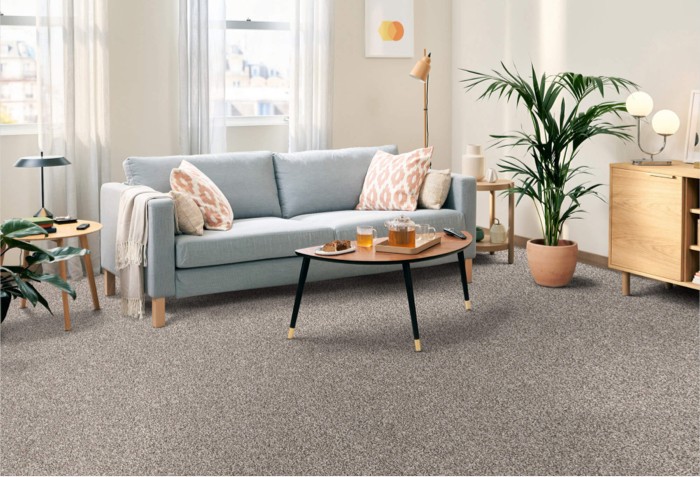 Living room carpet floor | Ronnie's Carpets & Flooring