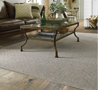 Living room area rug | Ronnie's Carpets & Flooring