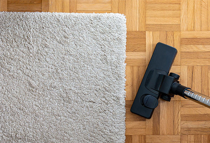 How to Clean an Area Rug Like a Pro