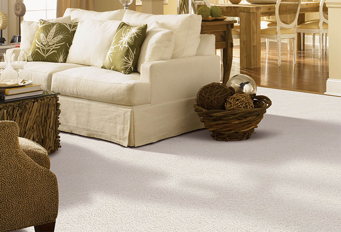 Living room Carpet | Ronnie's Carpets & Flooring