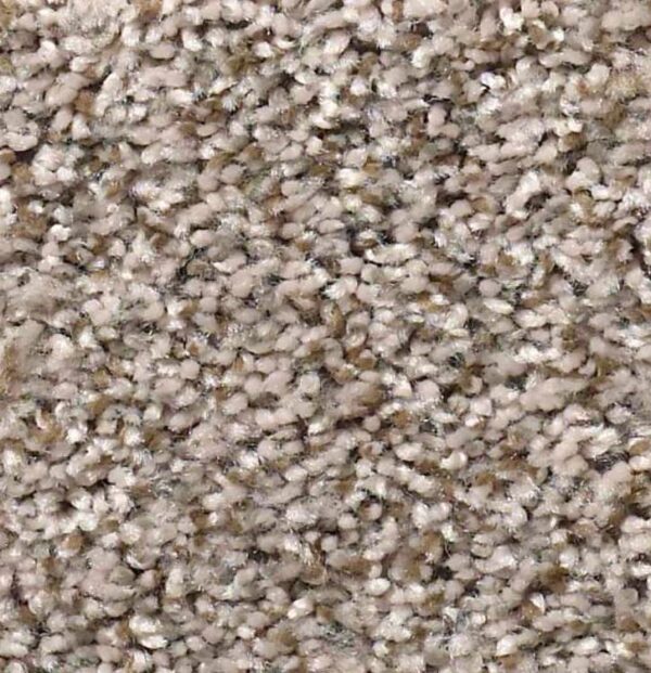 Carpet | Ronnie's Carpets & Flooring