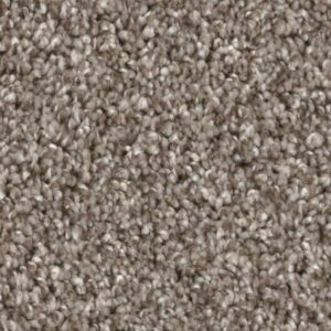 Carpet | Ronnie's Carpets & Flooring