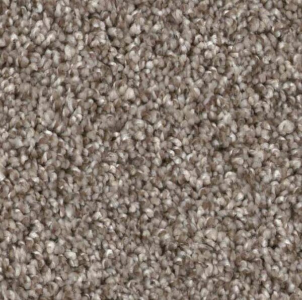 Carpet | Ronnie's Carpets & Flooring