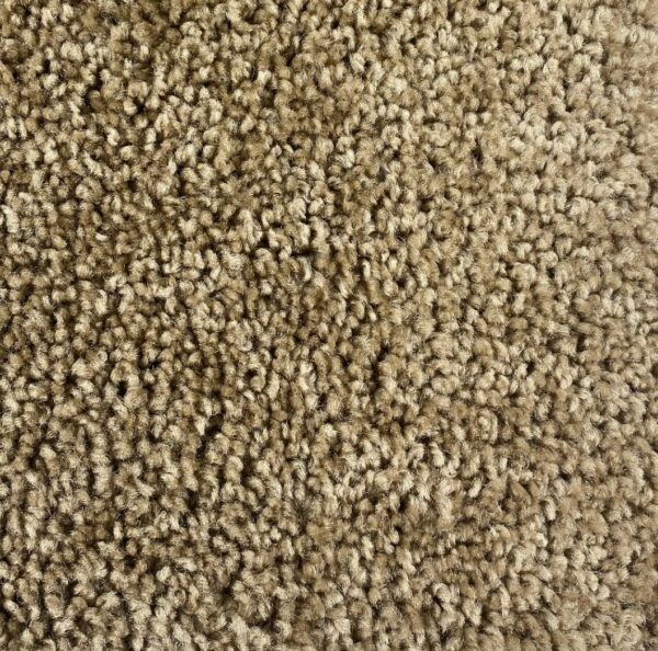 Carpet | Ronnie's Carpets & Flooring