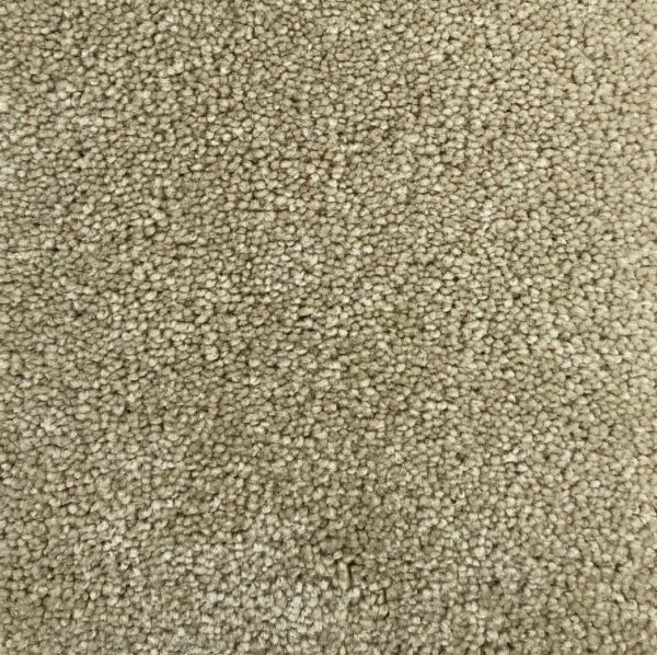 Carpet | Ronnie's Carpets & Flooring