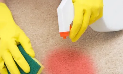 BonusTips Carpet Stain Care | Ronnie's Carpets & Flooring